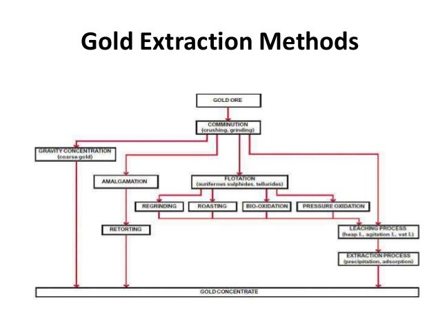 bioleaching of gold